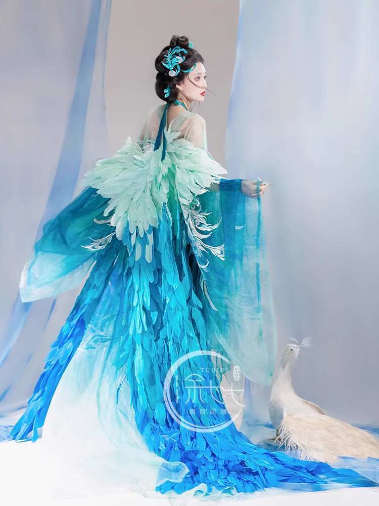 Embroidery Skirt - Novo pavão hanfu moda feminina indústria